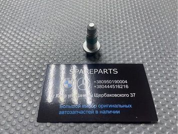 Болт Torx BMW (33526764406) 33526764406 фото