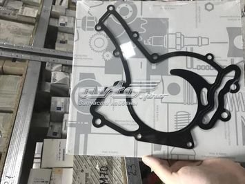 Прокладка насоса системы охлаждения (насоса) Mercedes-Benz (A2722010280) A2722010280 фото